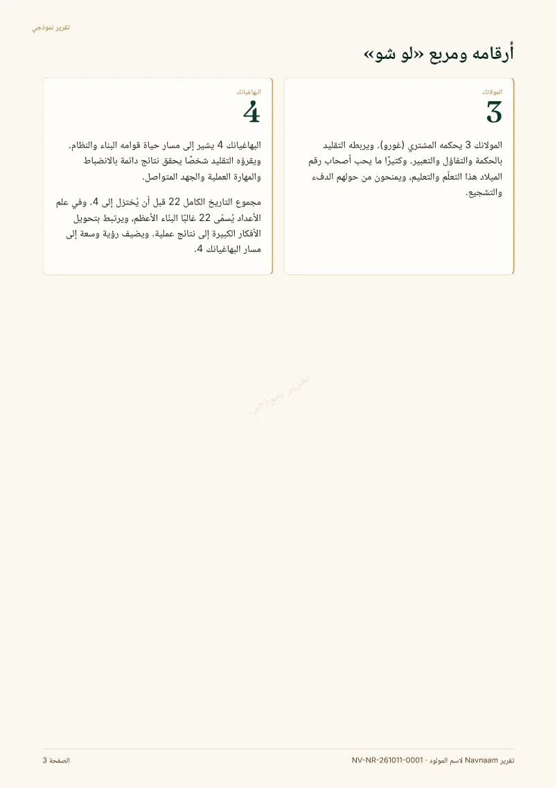 نموذج تقرير اسم المولود، الصفحة 3 من 10