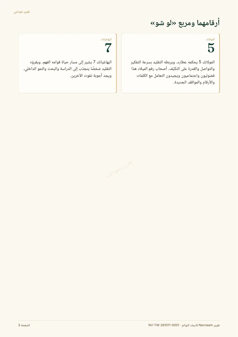 نموذج تقرير أسماء التوائم، الصفحة 3 من 11