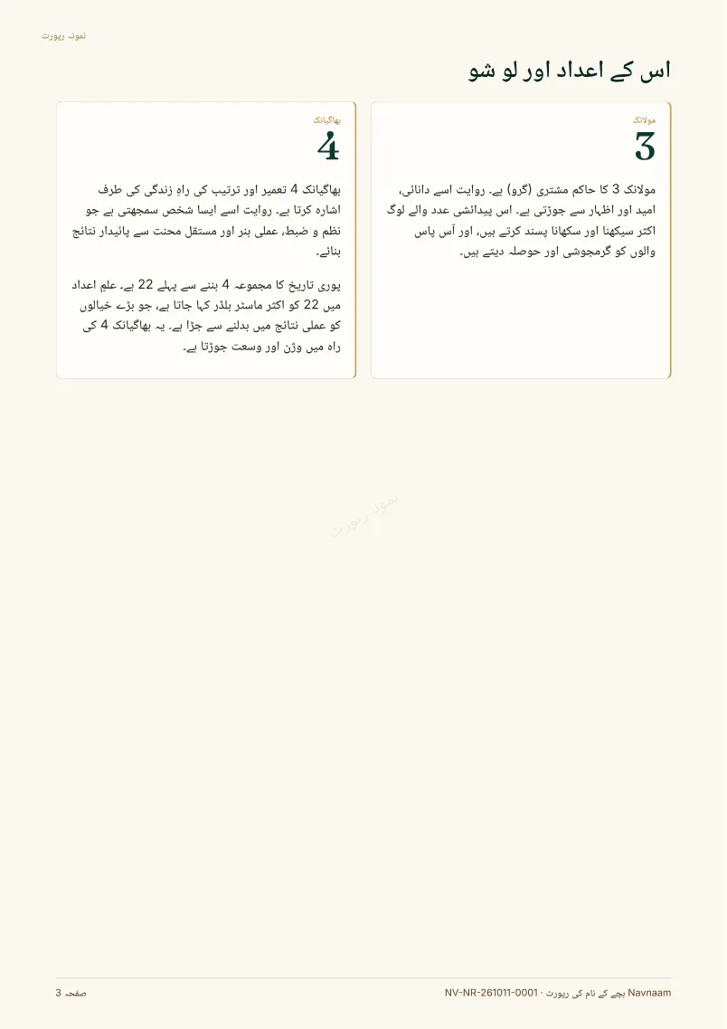 بچے کے نام کی رپورٹ نمونہ، صفحہ 3 از 10