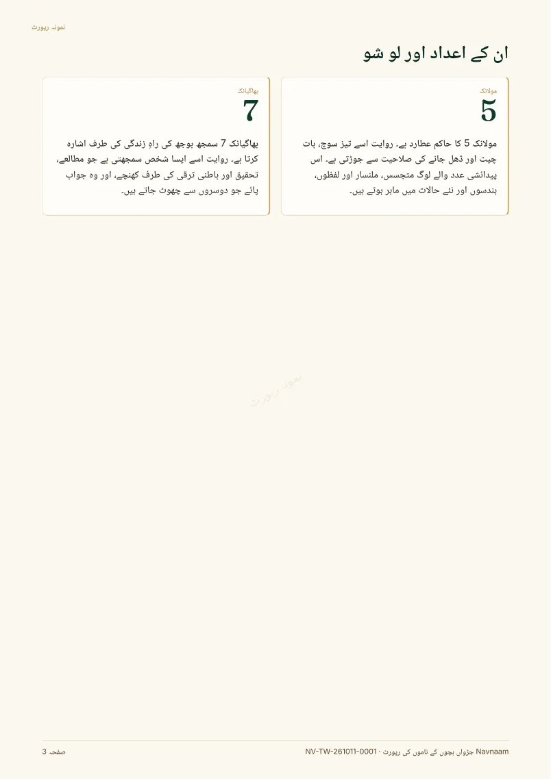 جڑواں ناموں کی رپورٹ نمونہ، صفحہ 3 از 11