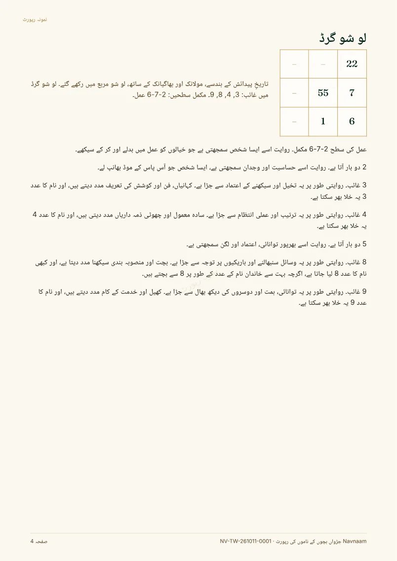 جڑواں ناموں کی رپورٹ نمونہ، صفحہ 4 از 11